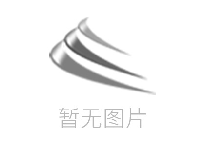 推動(dòng)實(shí)體經(jīng)濟(jì)發(fā)展走在前列 續(xù)寫廣東高質(zhì)量發(fā)展新篇章